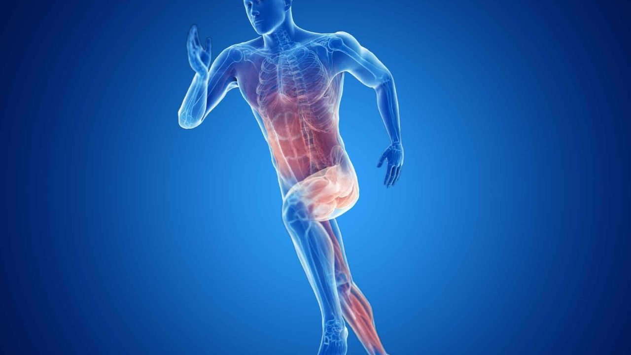 Muscle-Strain2